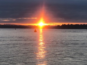 WhatsApp Image 2026-02-05 at 17.06.35.jpeg